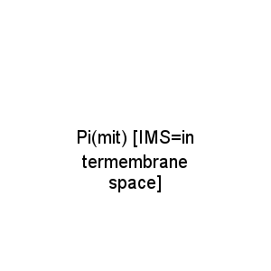 Pi(mit) [IMS=intermembrane space]